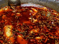 油泼麻辣锅-吃城都·鱼蛙火锅(西玉龙街店)