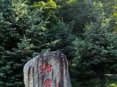-朱雀国家森林公园