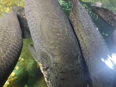 -嘉兴海底世界