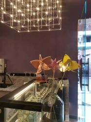 -花隐·美芙炫海菲秀皮肤管理中心