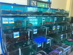 -琼大师东方烤乳猪(亚特兰蒂斯店)