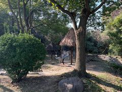 -上海野生动物园