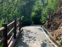-羚羊峡古栈道森林公园