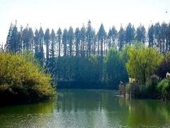 -南湖湿地公园