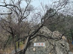 -阳台山自然风景区