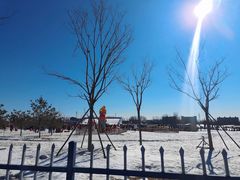-绿野森林乐园冰雪季