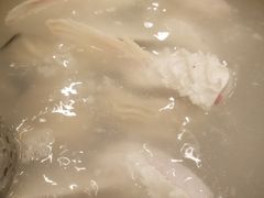 -正能量脆肉鲩火锅