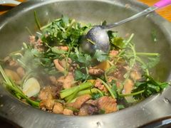 -九道菜有鸡鱼头(石鼓路店)
