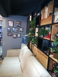 -刺客纹画纹身·洗纹身·穿孔饰品