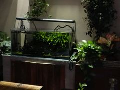 -百好乐宠物友好餐厅(朝外大街店)