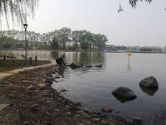 -石家庄市植物园