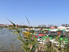 -上海长兴岛郊野公园