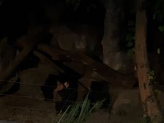 -清迈夜间动物园