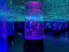 -哈尔滨波塞冬海底世界