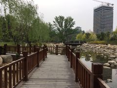 -莲花池公园