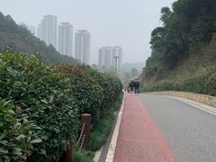 -桃花岭景区