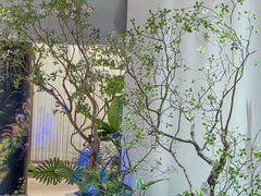 -驻海渔市(置信店)