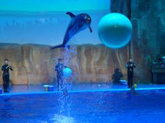 -华夏文旅海洋公园