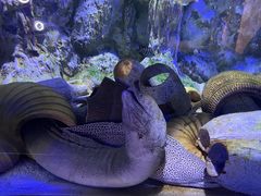 -正佳极地海洋世界