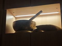 -舒小悦·舒养SPA·古法推拿(光环中心店)