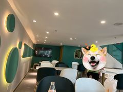 -飞行喵MR PILOT|猫舍·猫咖(静安大融城店)