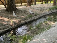 -银树楼(紫玉山庄东区店)