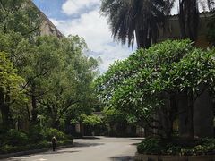 -三水森林公园