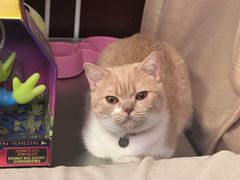 -铭洋专业采耳(田子坊店)