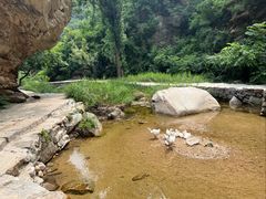 -黑龙潭风景区