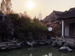 -芥子园