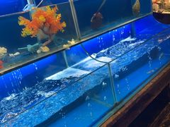 水产区-芭菲盛宴·环球美食(袁家岗店)