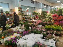 -双季花艺园艺市场(浦东店)