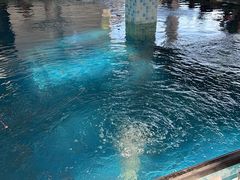 -SHRIMP CLUB万东餐饮钓虾·清吧