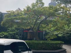 -听松楼·花园酒店·自助餐厅(红梅公园店)