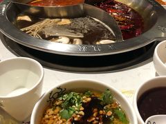 -DaLongYi Hot Pot 大龙燚火锅