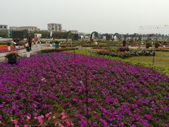 -润记农家菜