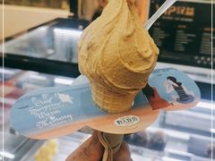 -野人先生现做冰淇淋(西安赛格店)