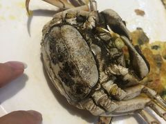 -7017浙菜•建德味(中财店)