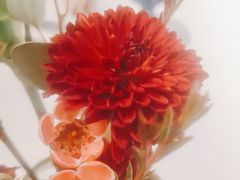 -醉了的船Le Bateau Ivre(温江店)