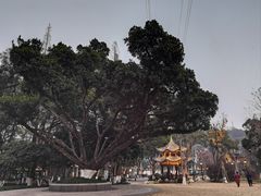 -墨池公园