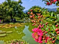 -国家植物园南园