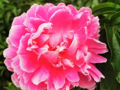 -长春公园(普阳街道)