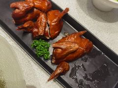 红烧乳鸽-粤珍轩·家宴·广式茶点(新城广场店)