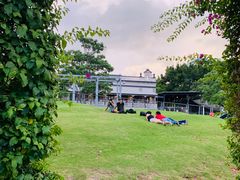 -布里斯班南岸公园