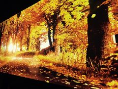 景观位-胖哥俩肉蟹煲(福州仓山爱琴海店)