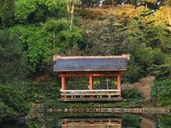 -南山植物园