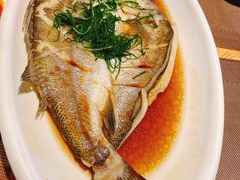 白蕉海鲈鱼-江南原著(中联广场店)