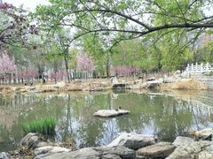 -东升八家郊野公园