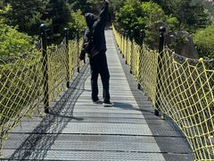 -北宅大永樱桃采摘基地(崂山总部)