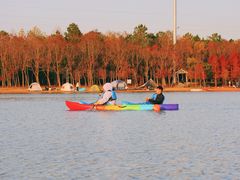 -上海海湾国家森林公园